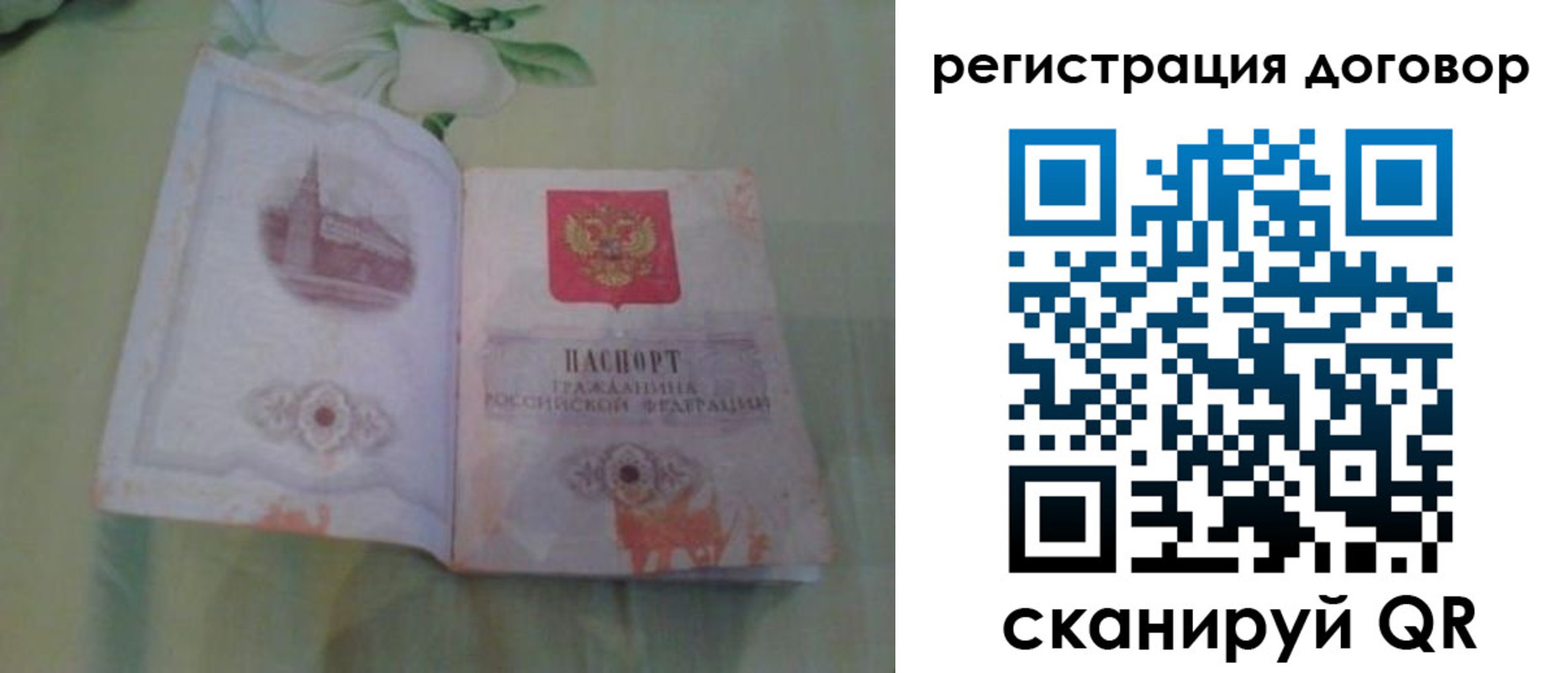 прописка законно в Белгороде